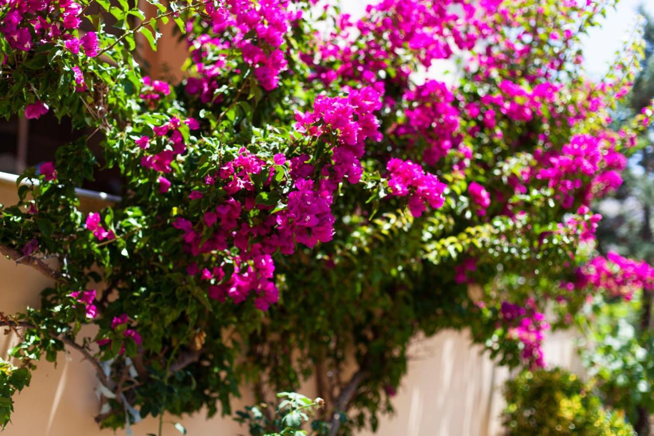 George Hotel Rooms&Suites Himare Exterior foto